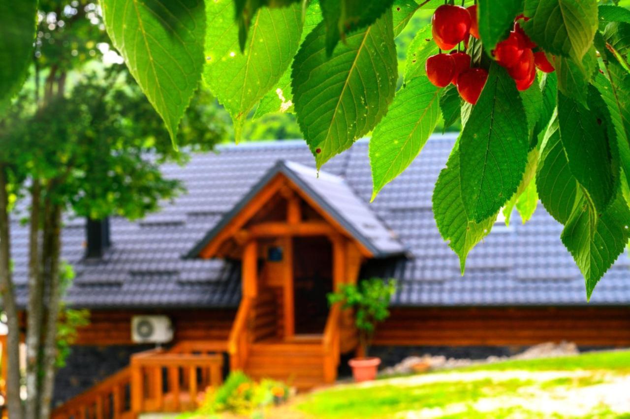 Holiday Home Wellspring Jastrebarsko Esterno foto